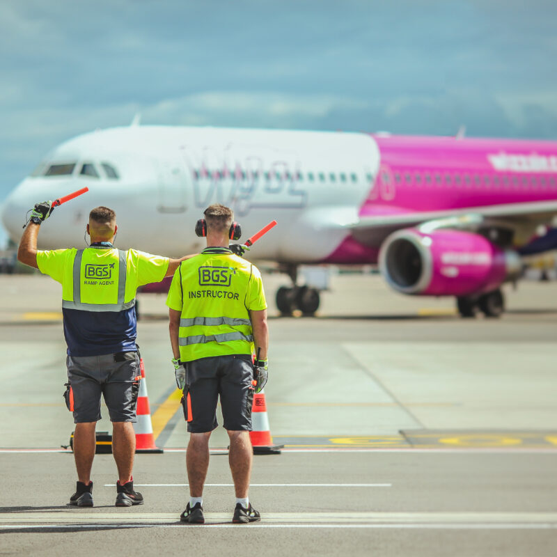 BGA Marshalling services